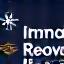 IronHawk Recovery Logo